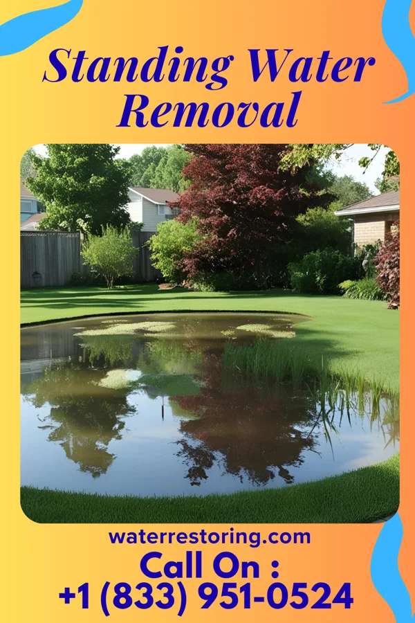 Standing Water Removal in Burnet, TX